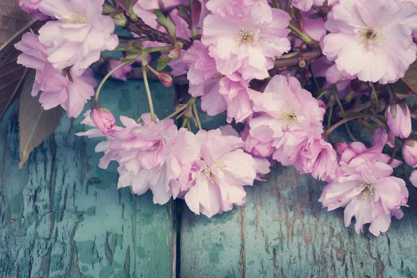 Estilo Rústico Primavera Fundo Com Rosa Japonês Cereja Flor Perto — Fotografia de Stock