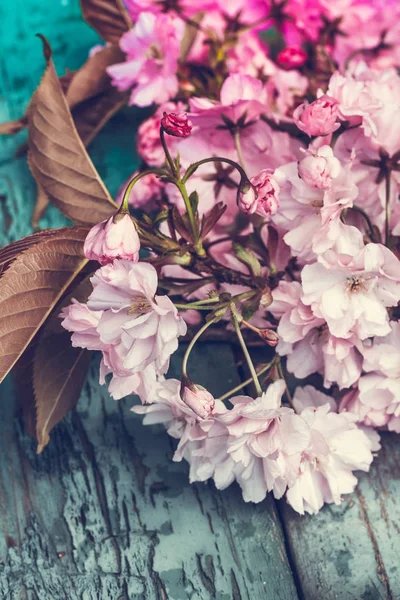 Style Rustique Fond Printanier Avec Fleur Rose Cerisier Japonais Gros — Photo