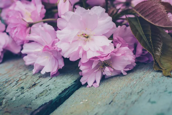 Stile Rustico Fondo Primavera Con Rosa Fiore Ciliegio Giapponese Vicino — Foto Stock