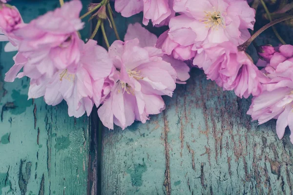 Rusztikus Stílusú Tavaszi Háttér Val Rózsaszín Japán Cherry Blossom Közelről — Stock Fotó