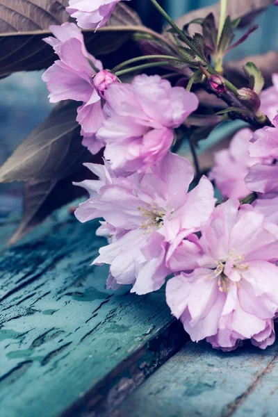 Rustikální Styl Pozadí Jaro Růžová Japonská Třešňový Květ Zblízka — Stock fotografie