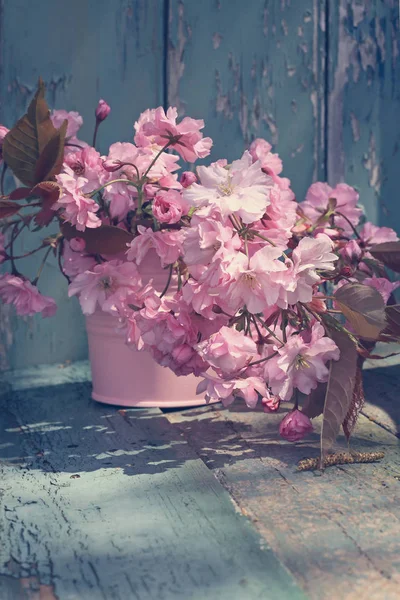 Schöne japanische Kirschblüten in der Vase — Stockfoto