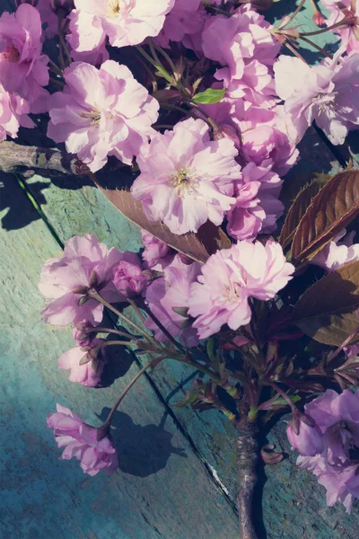 Estilo Rústico Fondo Primavera Con Flor Cerezo Japonesa Rosa Cerca — Foto de Stock