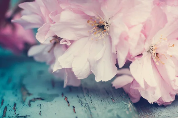 Крупним Планом Сільському Стилі Весна Фону Рожевий Японська Вишня Цвітіння — стокове фото