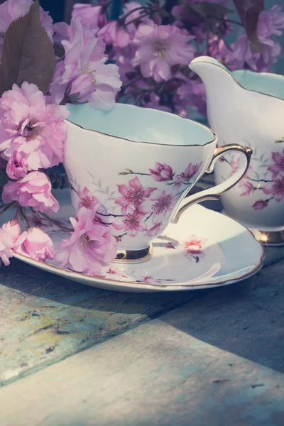 Beautiful English Vintage Teacup Japanese Cherry Tree Blossoms Close — Stock Photo, Image