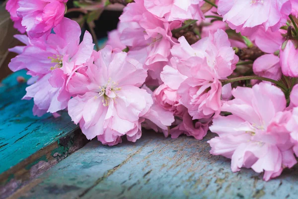 Rustieke Stijl Spring Achtergrond Met Roze Japanse Kersenbloesem Close — Stockfoto