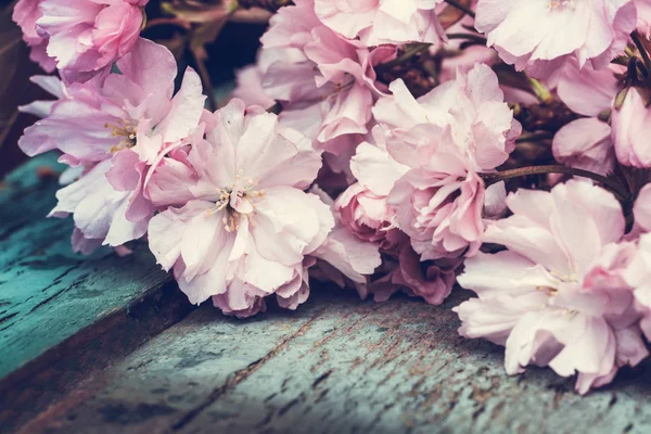 Estilo Rústico Primavera Fundo Com Rosa Japonês Cereja Flor Perto — Fotografia de Stock