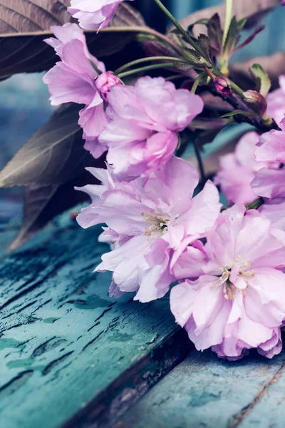 Bella Primavera Sfondo Rustico Con Rosa Fiore Albero Giapponese — Foto Stock