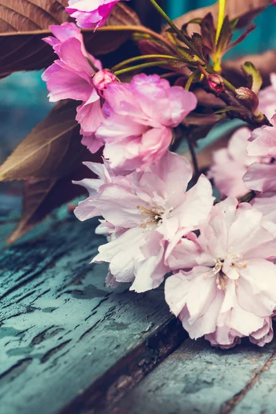 Rustikalen Stil Frühling Hintergrund Mit Rosa Japanische Kirschblüte Nahaufnahme — Stockfoto