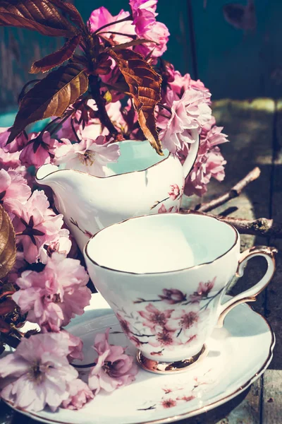 Beautiful English Vintage Teacup Japanese Cherry Tree Blossoms Close Upt — Stock Photo, Image