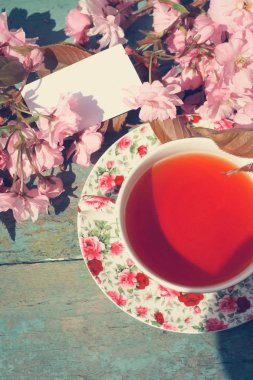 Japon kiraz ağacı çiçekleri, yukarıdan ateş ile güzel, vintage çay fincanı.