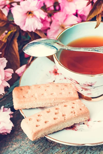 Beautiful Vintage Teacup Japanese Cherry Tree Blossom Scottish Shortbread Close — Stock Photo, Image