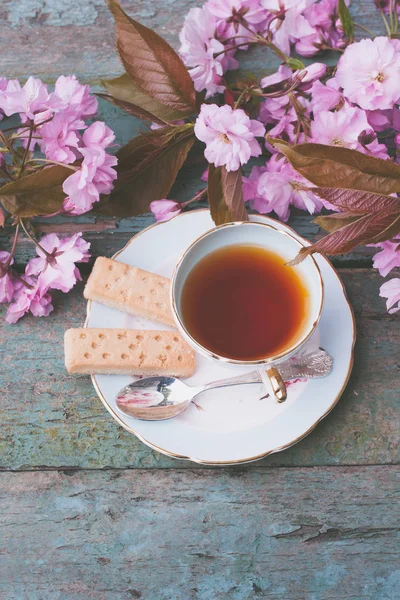 Красивая Винтажная Чашка Японским Цветком Вишни Шотландским Песочным Хлебом Близко — стоковое фото