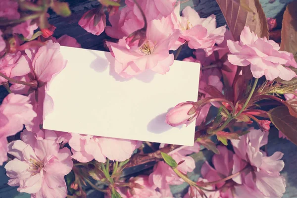 Japanes tree blossom with a blank note — Stock Photo, Image