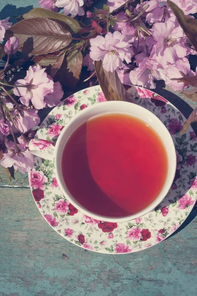 Beautiful Vintage Teacup Japanese Cherry Tree Blossoms Shot — Stock Photo, Image