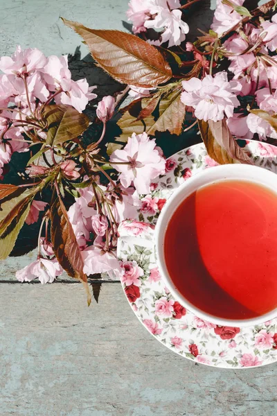 Hermosa Inglés Taza Vintage Con Flores Cerezo Japonés Cerca —  Fotos de Stock