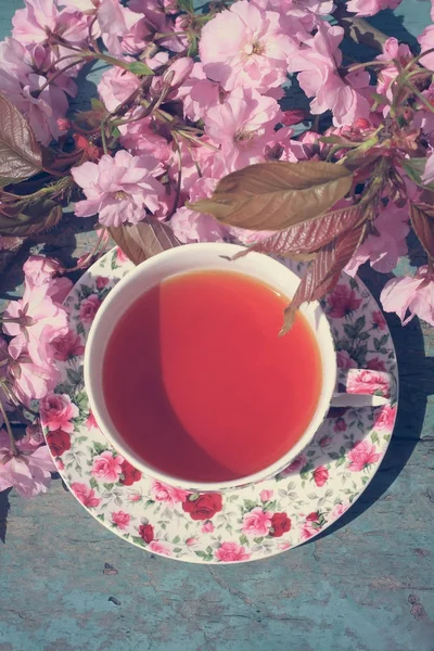 Beautiful Vintage Teacup Japanese Cherry Tree Blossoms Shot — Stock Photo, Image