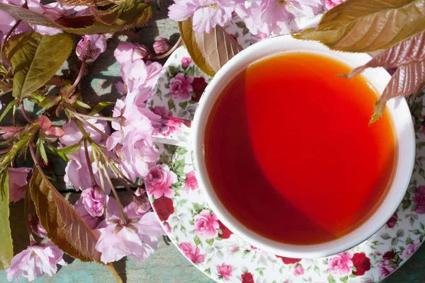 美丽的 老式的茶杯与日本樱桃树开花 从上面射击 — 图库照片