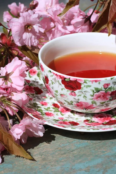 Beautiful English Vintage Teacup Japanese Cherry Tree Blossoms Close Upt — Stock Photo, Image