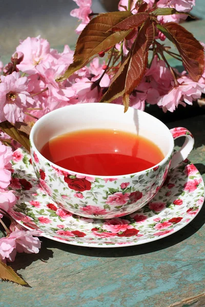Beautiful English Vintage Teacup Japanese Cherry Tree Blossoms Close — Stock Photo, Image