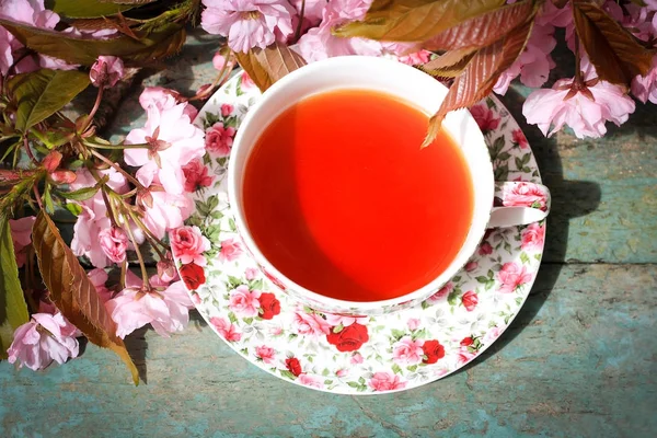 Beautiful English Vintage Teacup Japanese Cherry Tree Blossoms Close — Stock Photo, Image