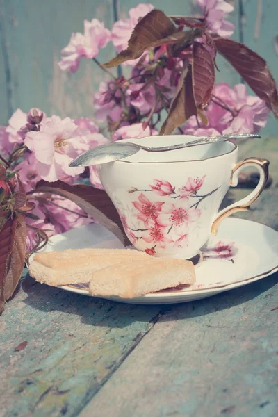 Beautiful English Vintage Teacup Scottish Shortbread Japanese Cherry Tree Blossoms — Stock Photo, Image