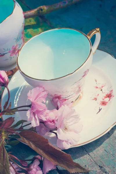 Japon kiraz ağacı çiçekleri, yakın upt ile güzel, İngilizce, vintage çay fincanı