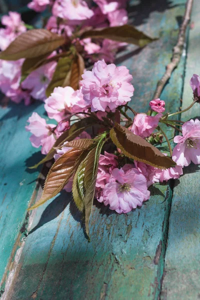 Instagram Estilo Japonés Flor Cerezo Fondo — Foto de Stock