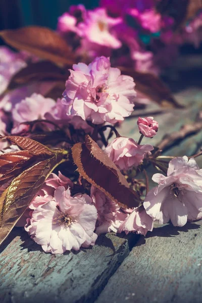 Instagram Styl Pozadí Japonská Třešňový Květ — Stock fotografie