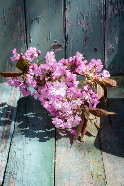 Romantické Jarní Pozadí Vázou Japonských Třešňových Květů Dřevěný Stůl — Stock fotografie