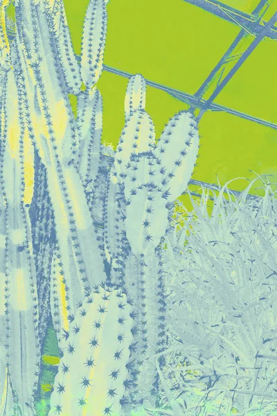 Sanatsal Kaktüs Yeşil Çiçek Arka Plan Resmi — Stok fotoğraf