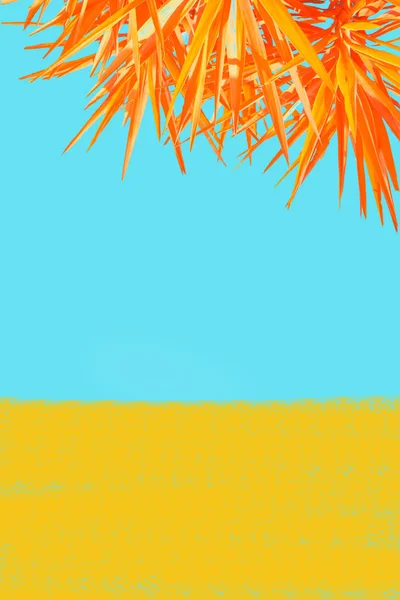 Orange Exotiska Växt Ljusa Blå Bakgrund Minimalistisk Bakgrund — Stockfoto