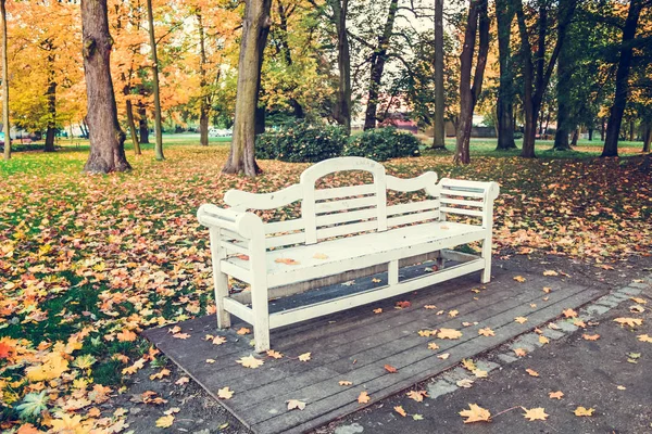 Banco Rojo Parque Otoño —  Fotos de Stock