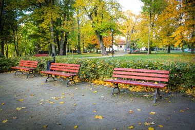 Redthree kırmızı, ahşap banklar parkta Tortum