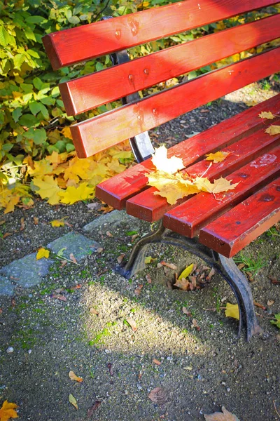 Red Bench Park Autum — Stock Photo, Image