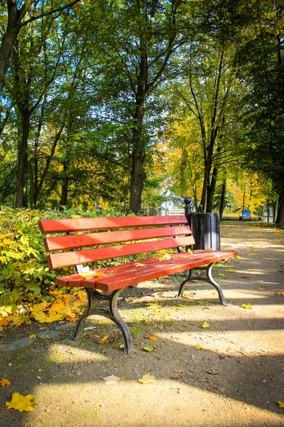 Bancă Roșie Parc Autum — Fotografie, imagine de stoc