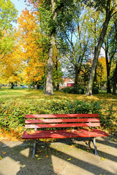 Bancada Madeira Vermelha Parque Outono — Fotografia de Stock