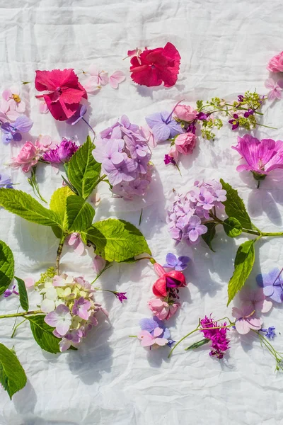 Zomer Bloemen Artistieke Achtergrond Met Verscheidenheid Van Bloemblaadjes Kleuren — Stockfoto