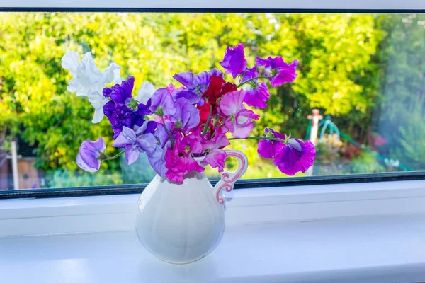 Flores de guisante dulce en un jarrón en el alféizar de la ventana con whi delicado —  Fotos de Stock