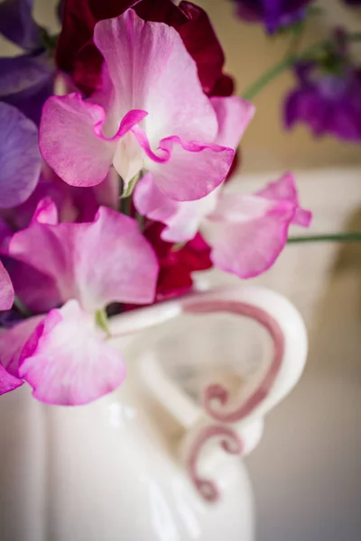 Γλυκό Μπιζέλι Λουλούδια Ένα Βάζο Όμορφη Ακόμα Ζωή — Φωτογραφία Αρχείου