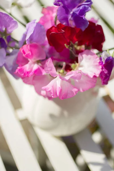 Γλυκό μπιζέλι λουλούδια σε ένα βάζο με λευκό σε λευκό μέταλλο, τραπέζι στον κήπο — Φωτογραφία Αρχείου