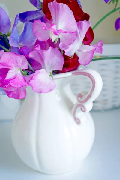 Солодкі горохові квіти у вазі, красиве натюрморт — стокове фото