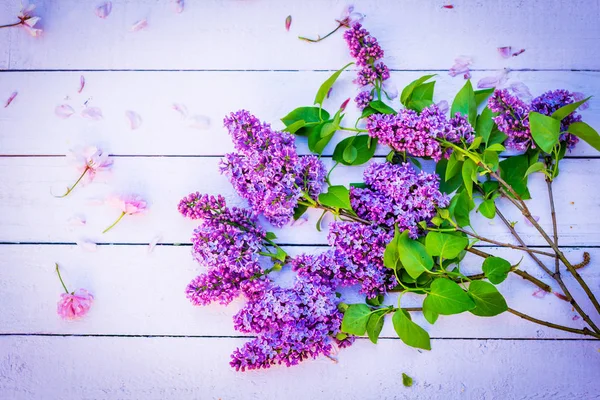 Beautiful, fresh lilac flowers on wooden, pink table, still life — Stock Photo, Image