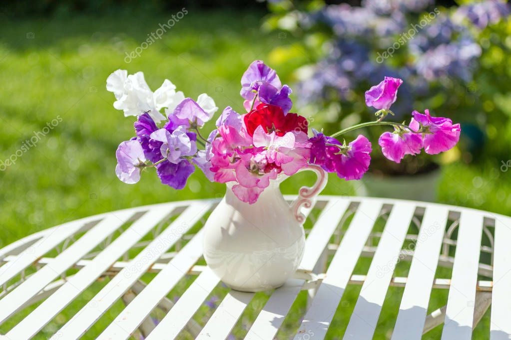Sweet pea flowers in a white vase on a white metal, garden table