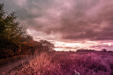 Güzel, büyülü bir manzara ve dramatik bir gökyüzü.