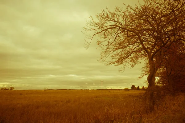 Fantasy Rural Landscape Fields Blurry Sky — ストック写真