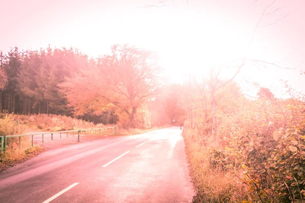 Sonhador Fundo Artístico Com Uma Estrada Embaçada Árvores Outono — Fotografia de Stock