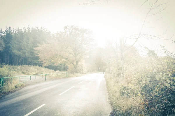 梦幻般的背景 有模糊的道路和柱子树的艺术背景 — 图库照片