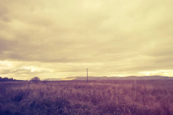 Paisaje Rural Fantasía Con Campos Cielo Borroso — Foto de Stock