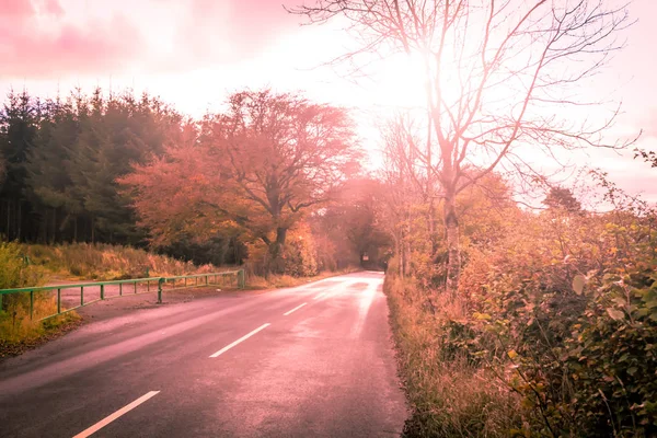 Dreamy Artistic Background Blurry Road Atumn Trees — Stock Photo, Image